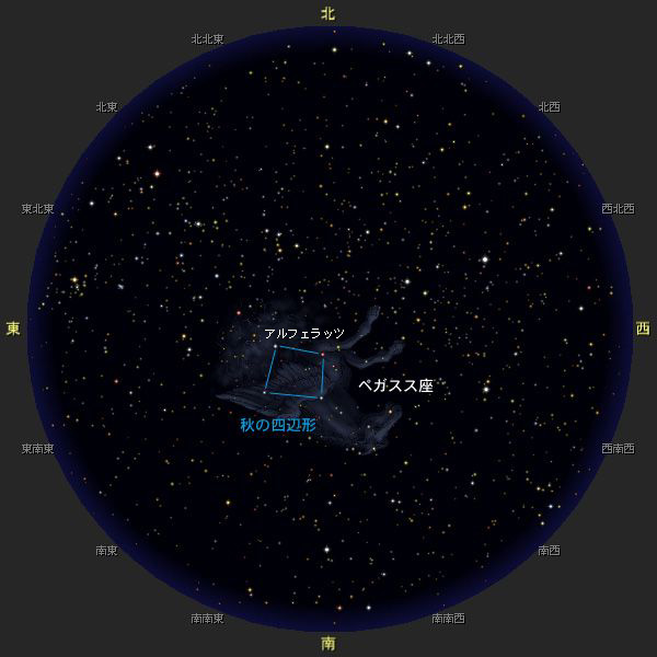 秋の星座 星ぞら探検隊