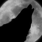 満月の名前・呼び名